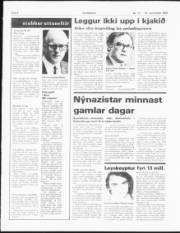 Síða 6