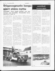 Síða 3