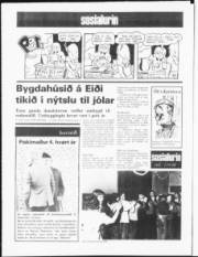 Síða 8