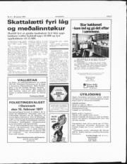 Síða 3