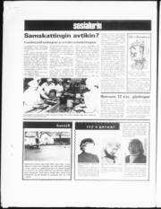 Síða 4
