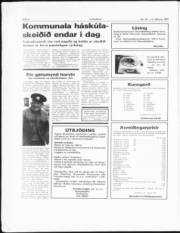 Síða 4
