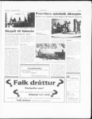Síða 5