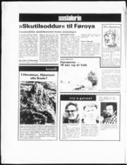 Síða 6