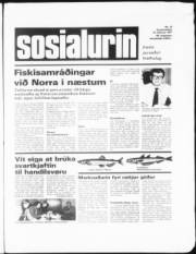 Síða 1