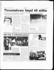 Síða 3