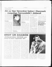 Síða 3