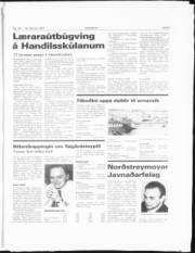Síða 3