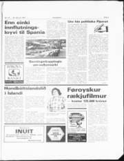Síða 7