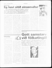 Síða 3