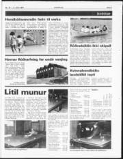 Síða 7