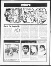 Síða 8