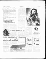 Síða 5