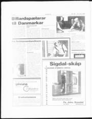 Síða 6