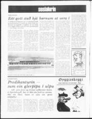 Síða 8