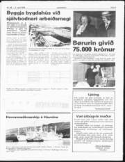 Síða 3