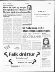 Síða 5