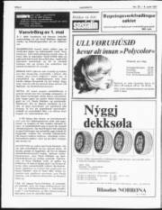 Síða 2