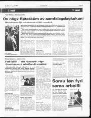 Síða 9