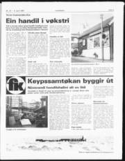 Síða 3