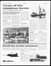 Síða 3