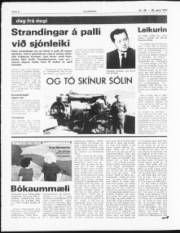 Síða 6