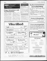 Síða 2