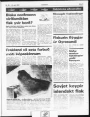 Síða 11