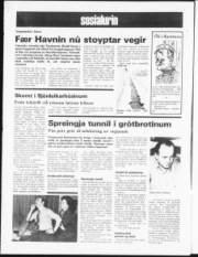 Síða 12