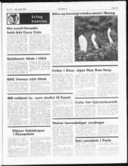 Síða 13