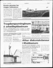 Síða 3
