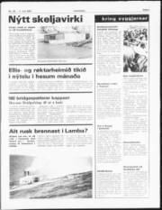 Síða 5