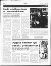 Síða 6