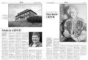 Síða 8