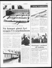 Síða 3