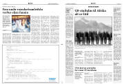 Síða 11