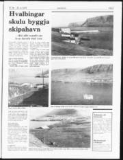Síða 3