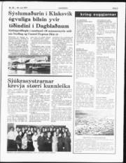 Síða 5