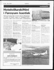 Síða 3