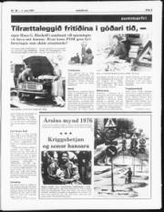 Síða 3