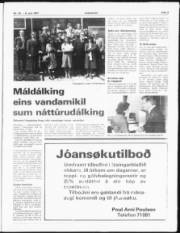 Síða 3