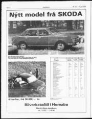 Síða 6