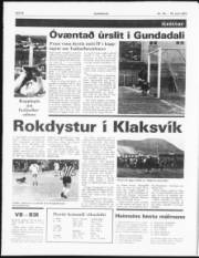Síða 8