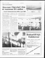 Síða 3