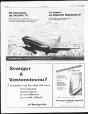 Síða 6
