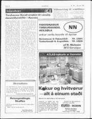 Síða 10