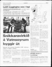 Síða 3