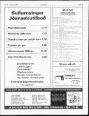 Síða 13