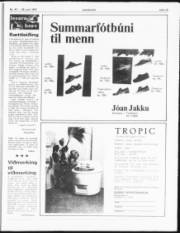Síða 19