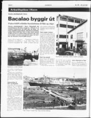 Síða 6